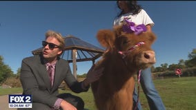 The Village Club hosts ?Sound & Snuggles? Wellness Event on October 9