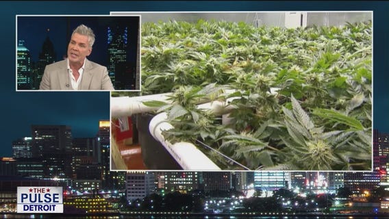 Shutdown showdown & Proposed Michigan cannabis tax hike