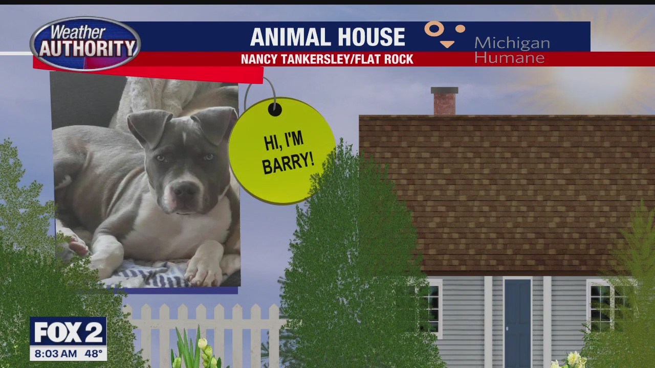 Welcome Bruno, Barry, Rascal