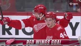 Red Wings stay red hot with 5th straight victory
