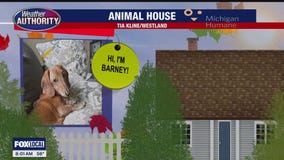 Welcome Barney, Pablo, Huxley