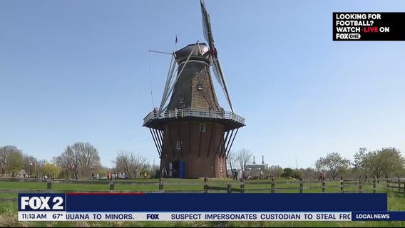 Lori's Stories, A Photographer's View