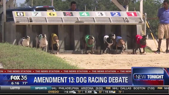 Voters to decide on whether to ban dog racing