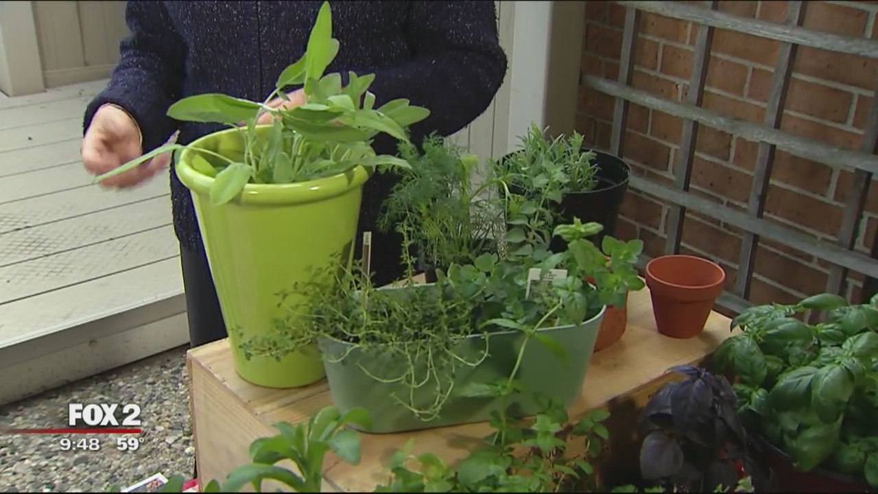 Grills and gardening - planting your own herb garden