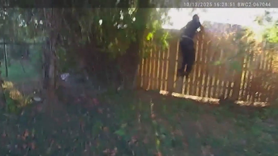 DPD responds to use of force incident