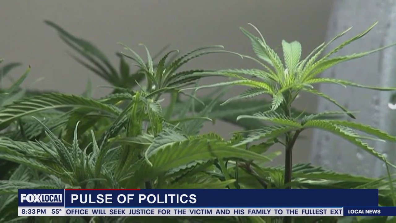 Pulse of Politics: SCOTUS takes on cannabis and guns & talkin' tariffs