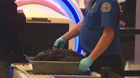 Federal workers at Detroit Metro, Willow Run airports get free meal