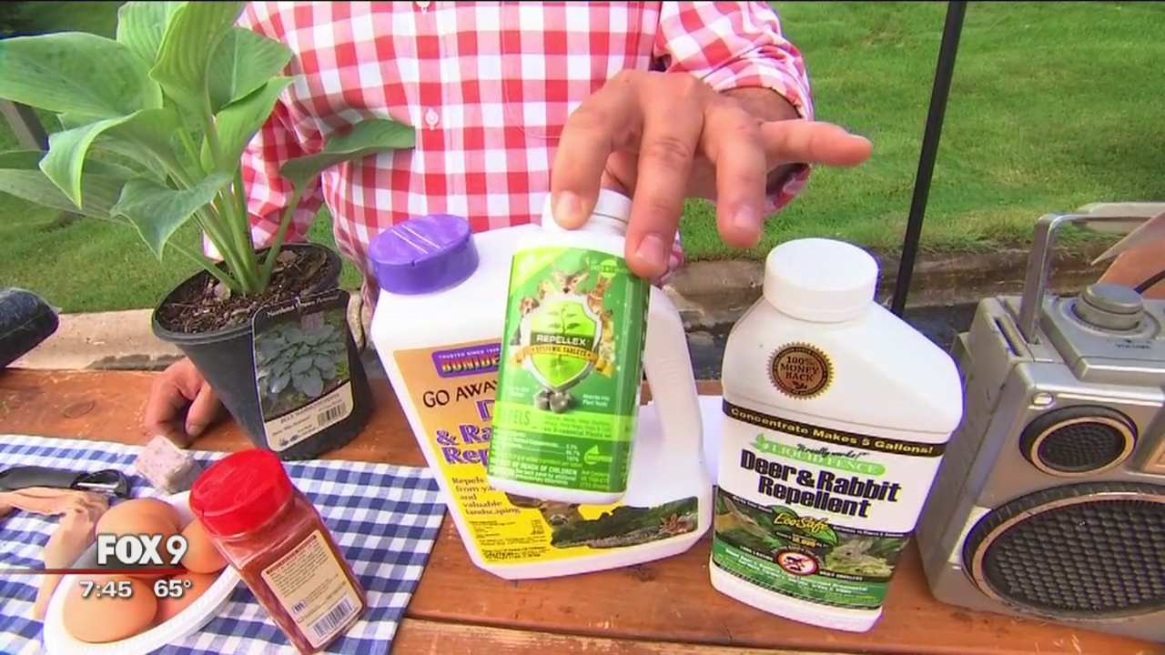 How to keep the deer away