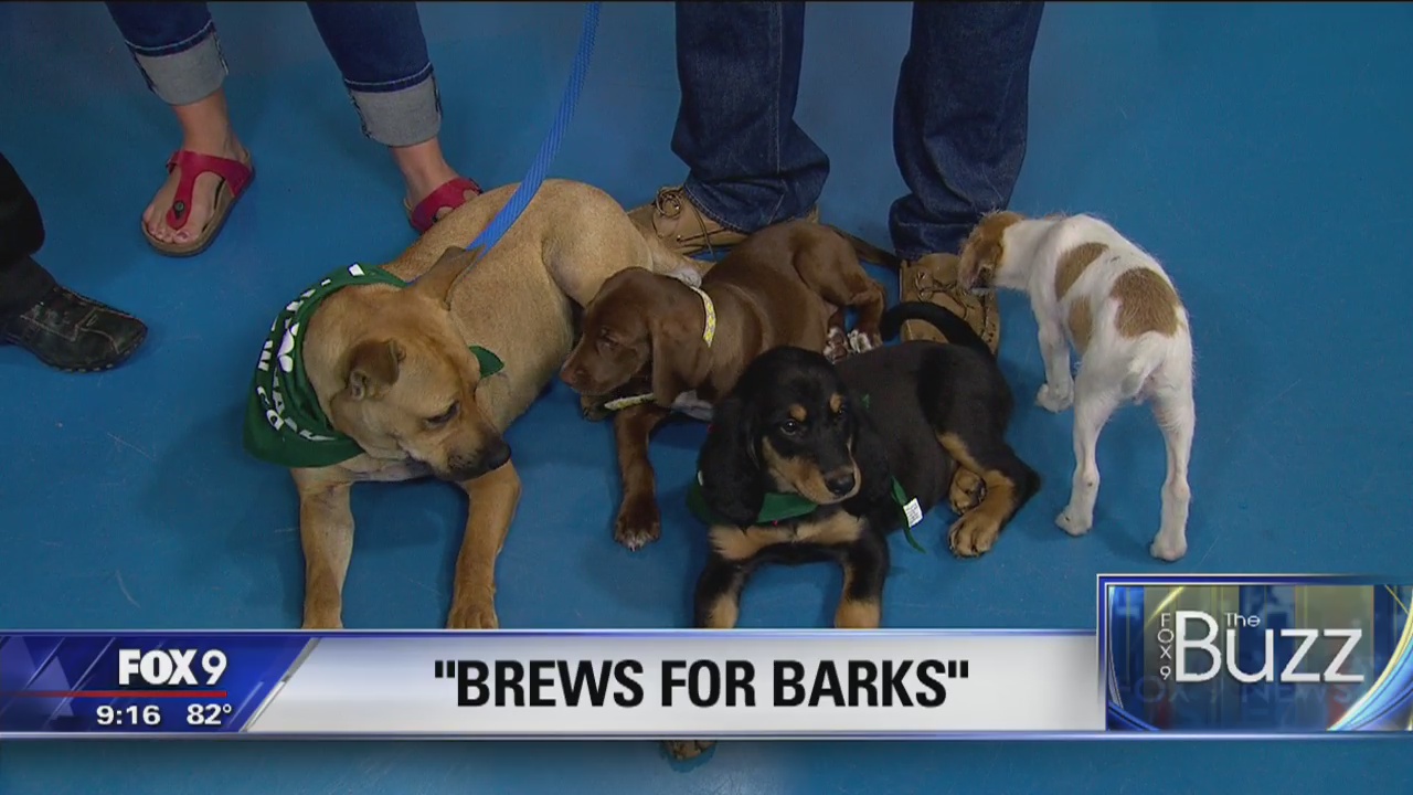Brews for Barks