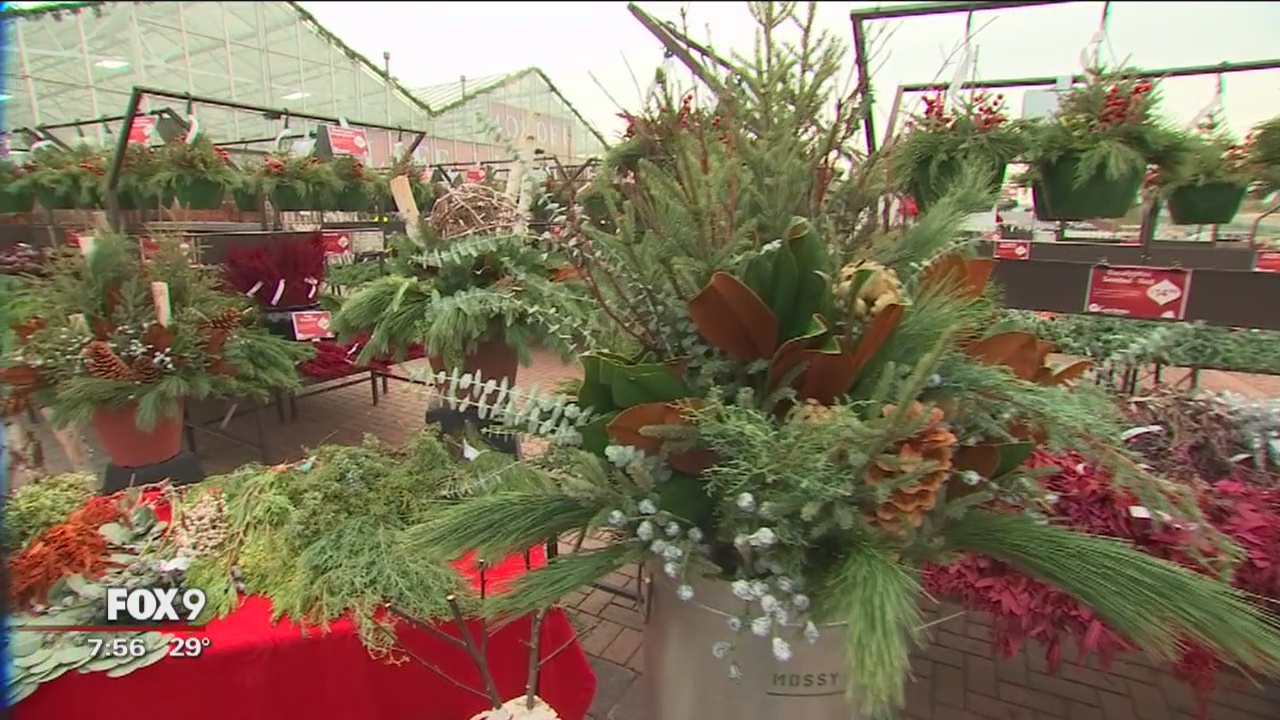 Make the most out of your plant