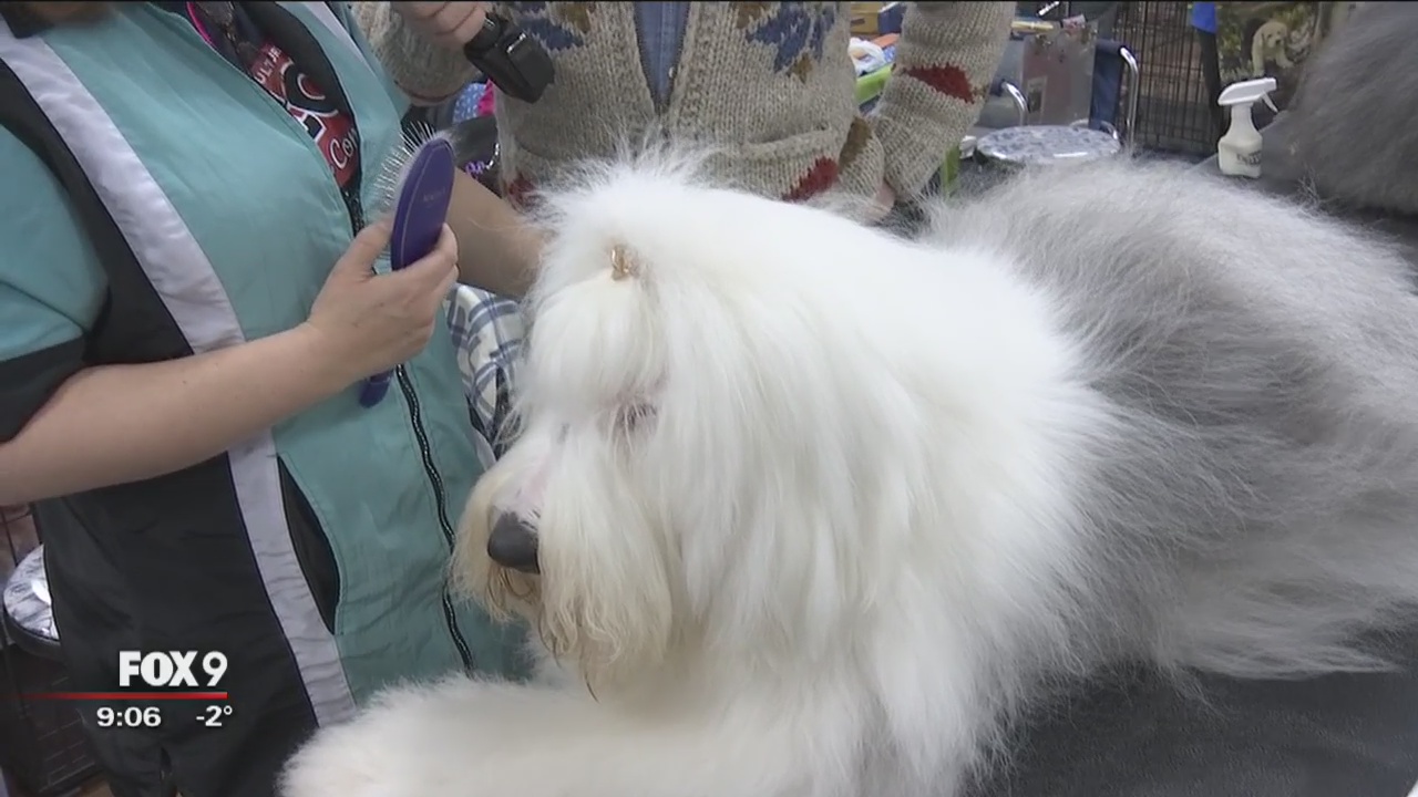 Land O' Lakes Kennel Club Dog Show