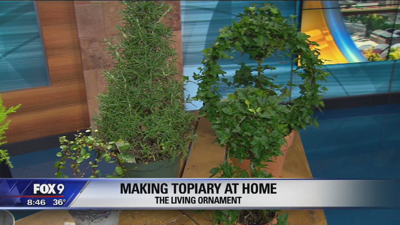 Garden Guy: Making holiday decorations at home