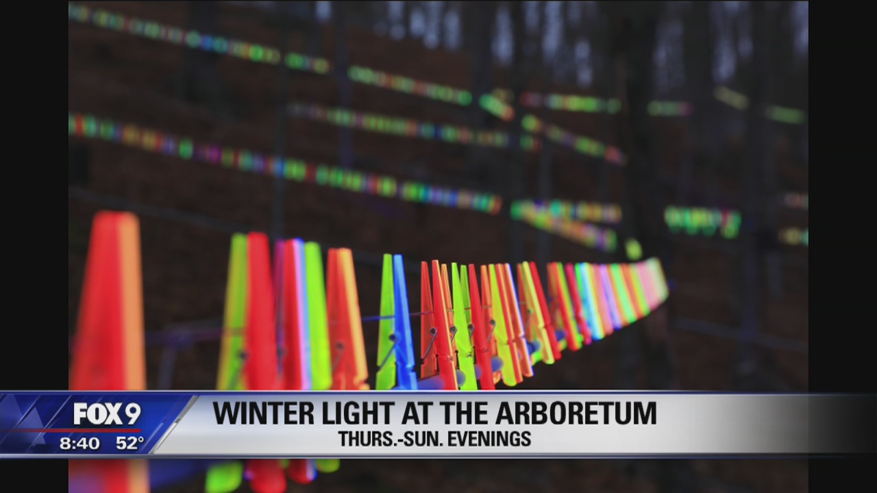 Landscape Arboretum light show