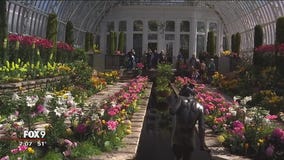 Spring Flower Show at Como Zoo