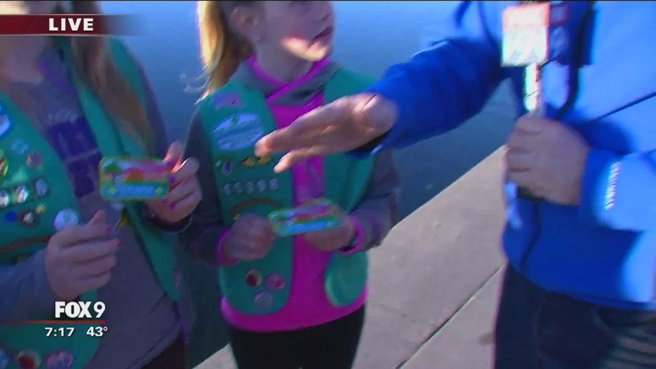 Girl Scouts participate in Spring Cleanup on Earth Day