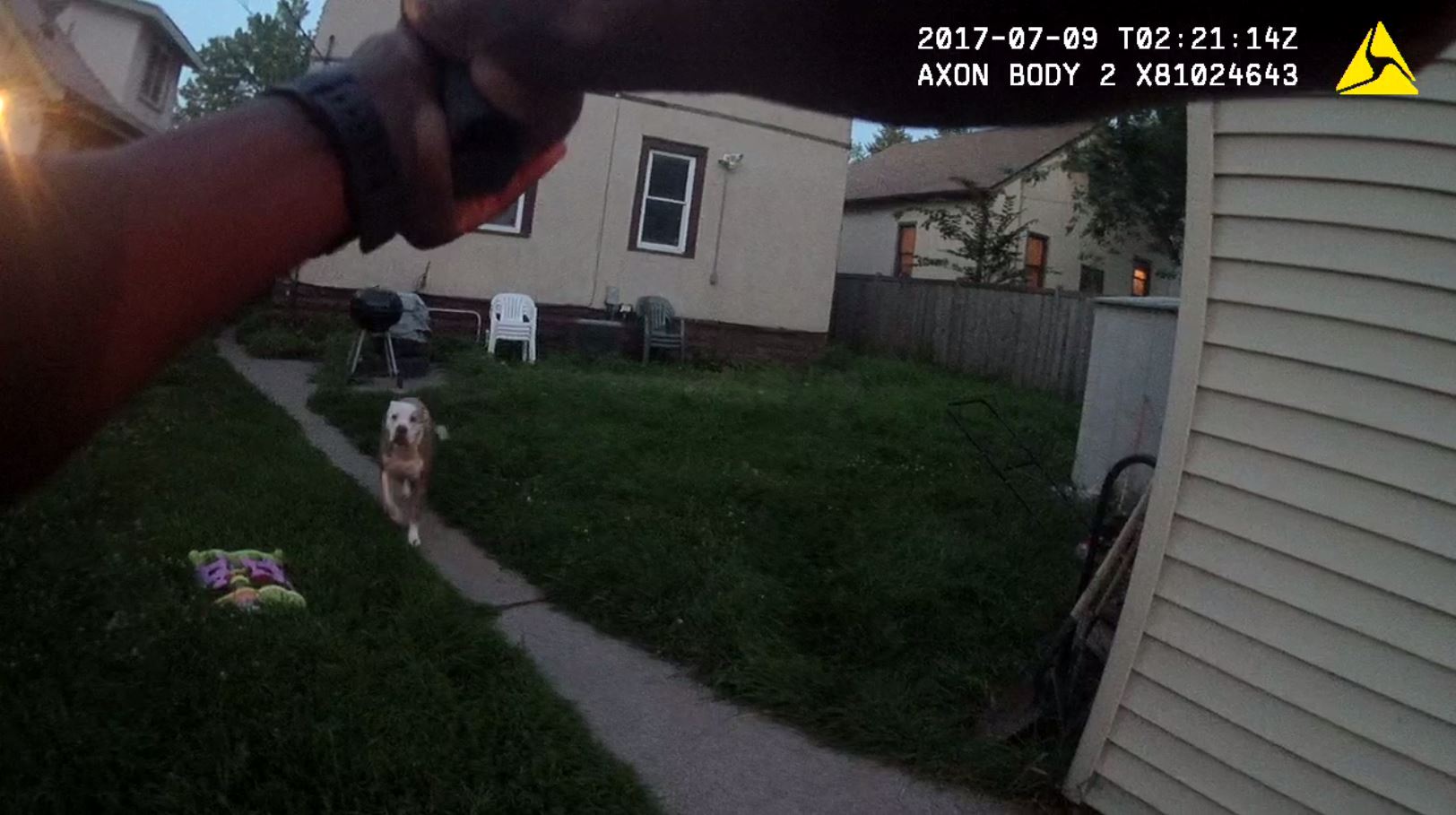 Graphic body camera video shows MPD officer shooting two dogs