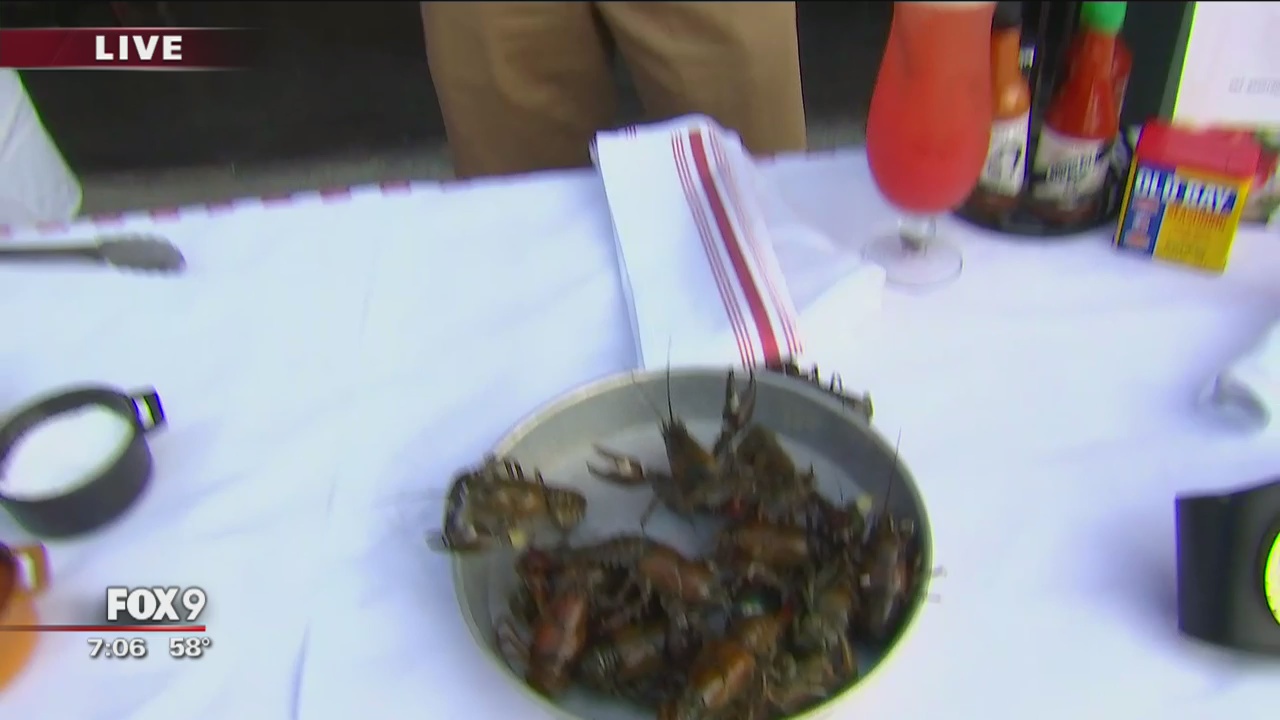 Crayfest in Minneapolis