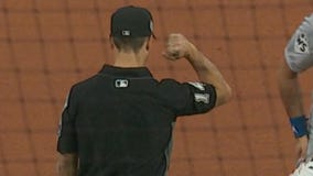 Calling the game on baseball's biggest stage