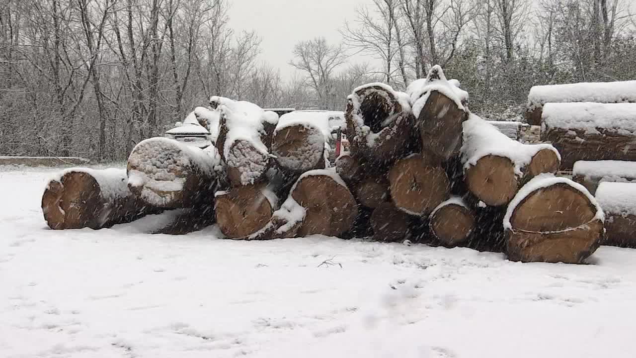 Whiskey Barrels of Minnesota, Part II