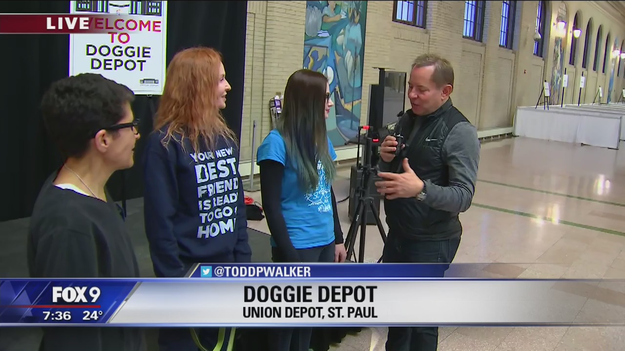Doggie Depot in St. Paul