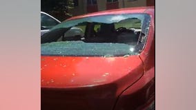 Roseville cars targeted by vandals