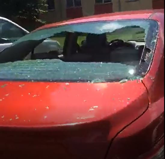 Roseville cars targeted by vandals
