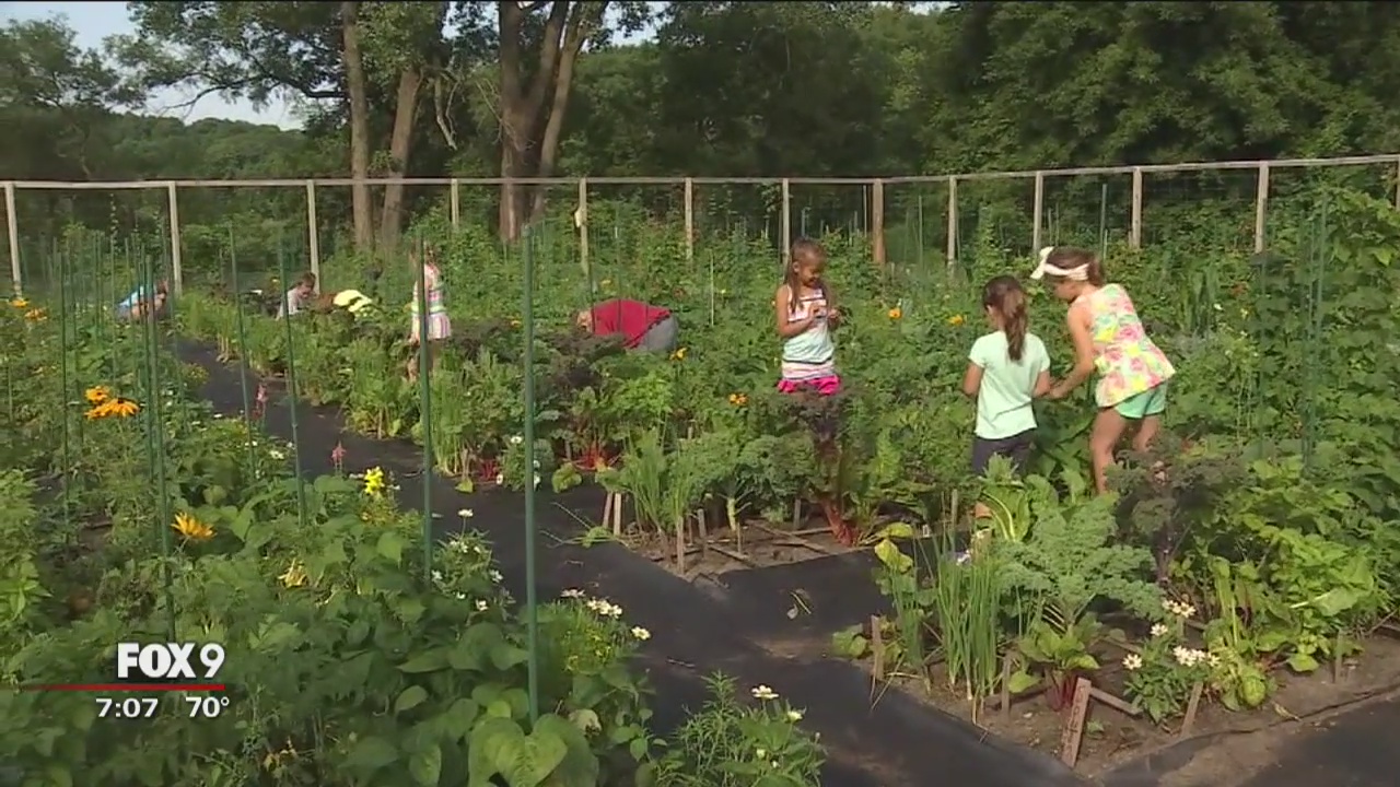 Kids gardening ideas at the Minnesota Landscape Arboretum