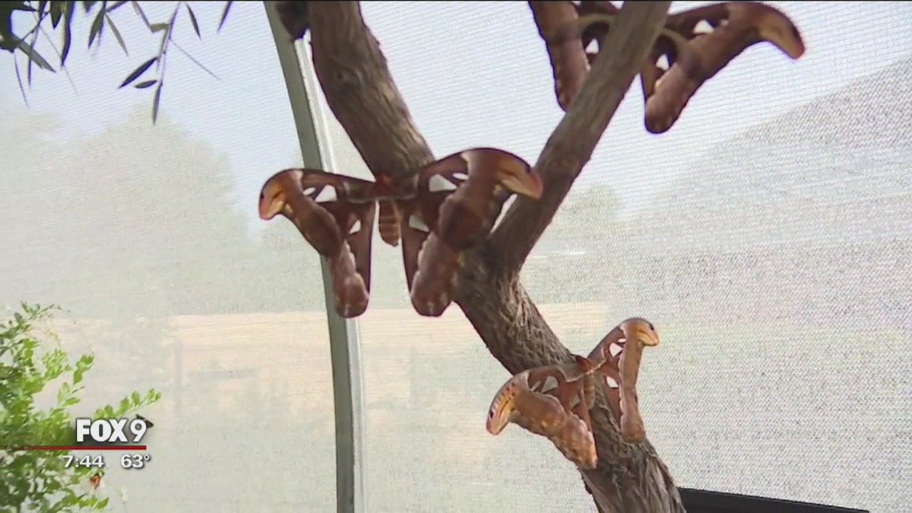 Fun for the family at Como Zoo in St. Paul, Minn.