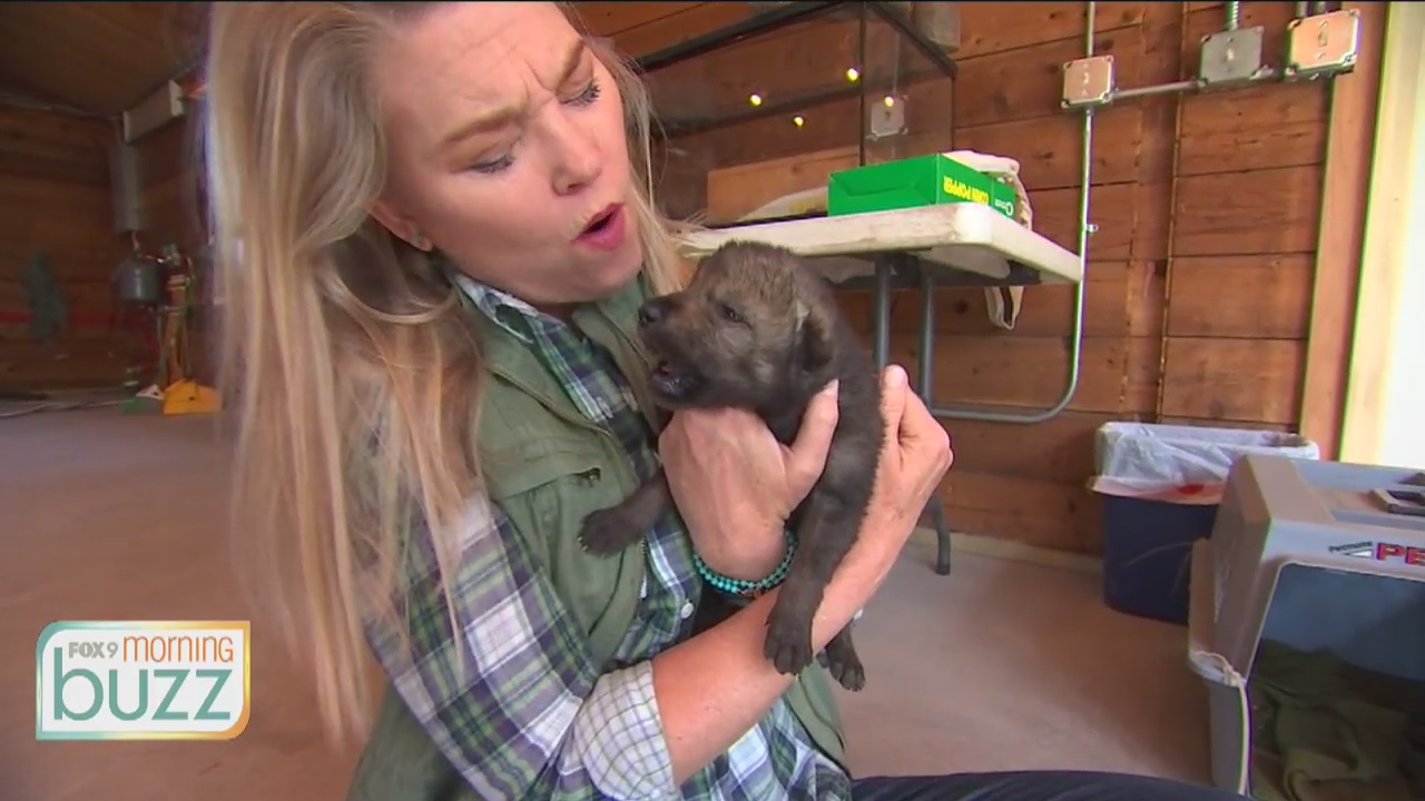 M.A. Rosko says goodbye after nearly 20 years at Fox 9