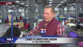 Land O'Lakes Dog Show in St. Paul, Minnesota