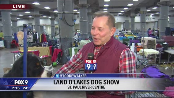 Land O'Lakes Dog Show in St. Paul, Minnesota