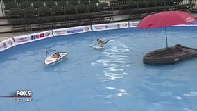 Sportsman's Show at St. Paul RiverCentre