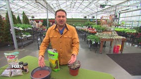 Garden Guy Dale K designs with succulents