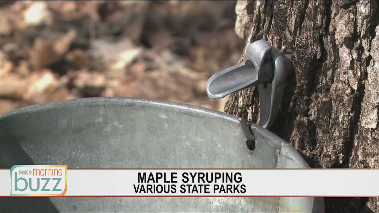 From stately syruping to soaring eagles, things to do in Minnesota during the month of March