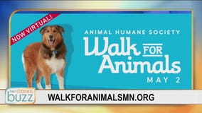 #Still Walking: Animal Humane Society's Walk for Animals going virtual
