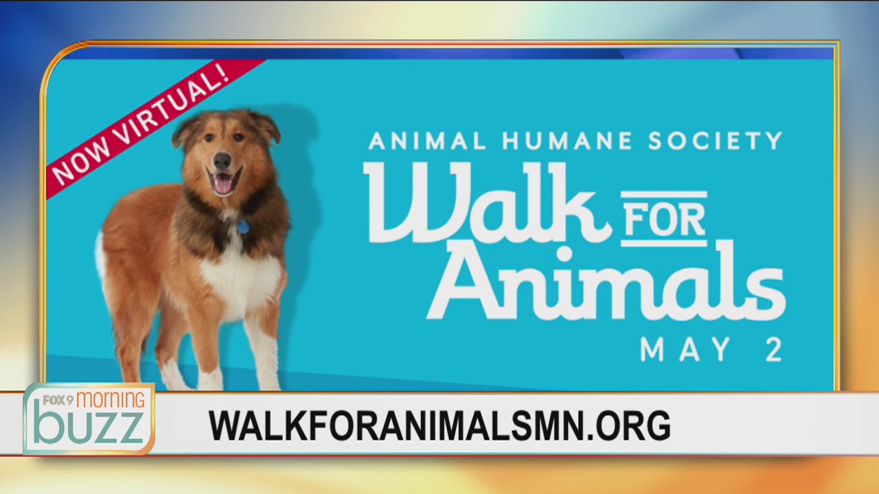 #Still Walking: Animal Humane Society's Walk for Animals going virtual
