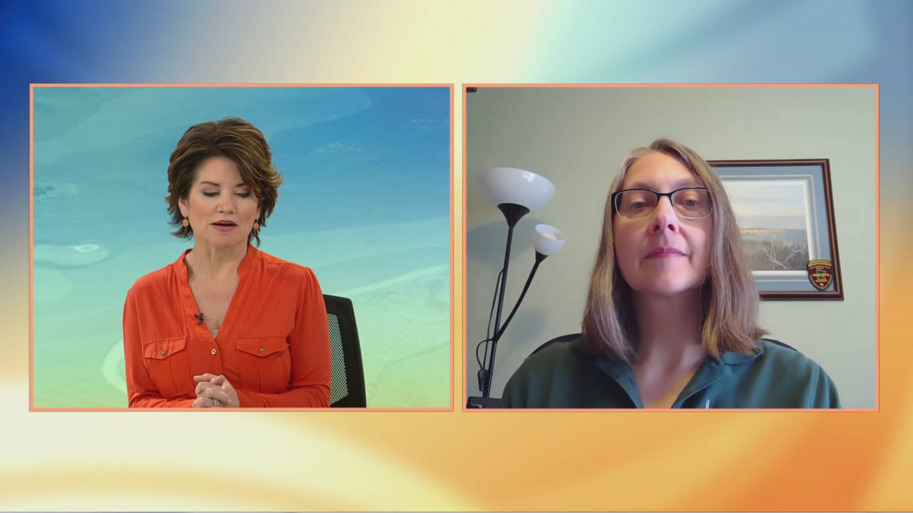 Are birds really louder during the pandemic? U of M expert weighs in