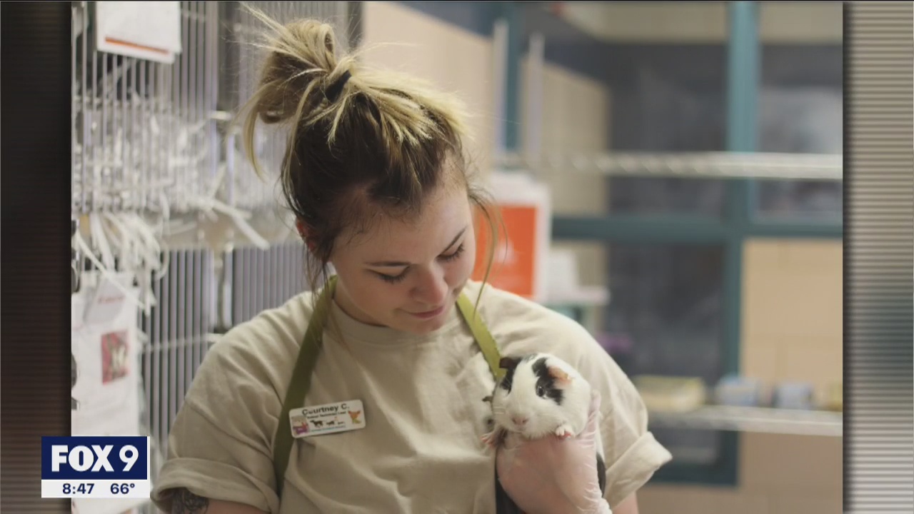 A surplus of critters - Animal Humane Society is looking for good homes for their pocket pets