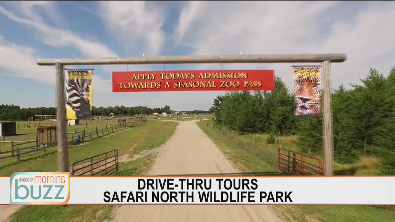 Headed on safari: Minnesota hot spot now open for drive-through tours