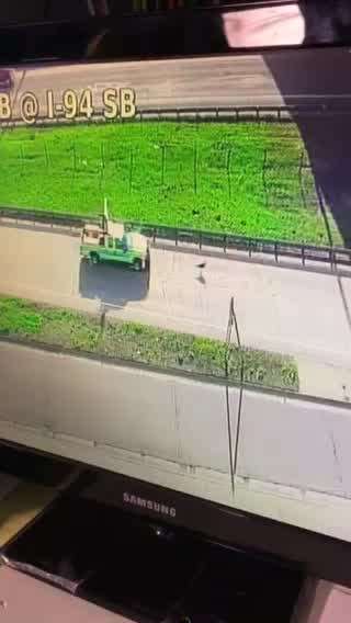 Turkey holding up traffic gets MnDOT escort to cross I-94