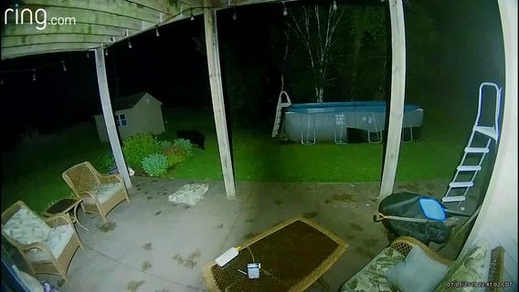 Black bear sighted in family's backyard in Elk River, Minn.