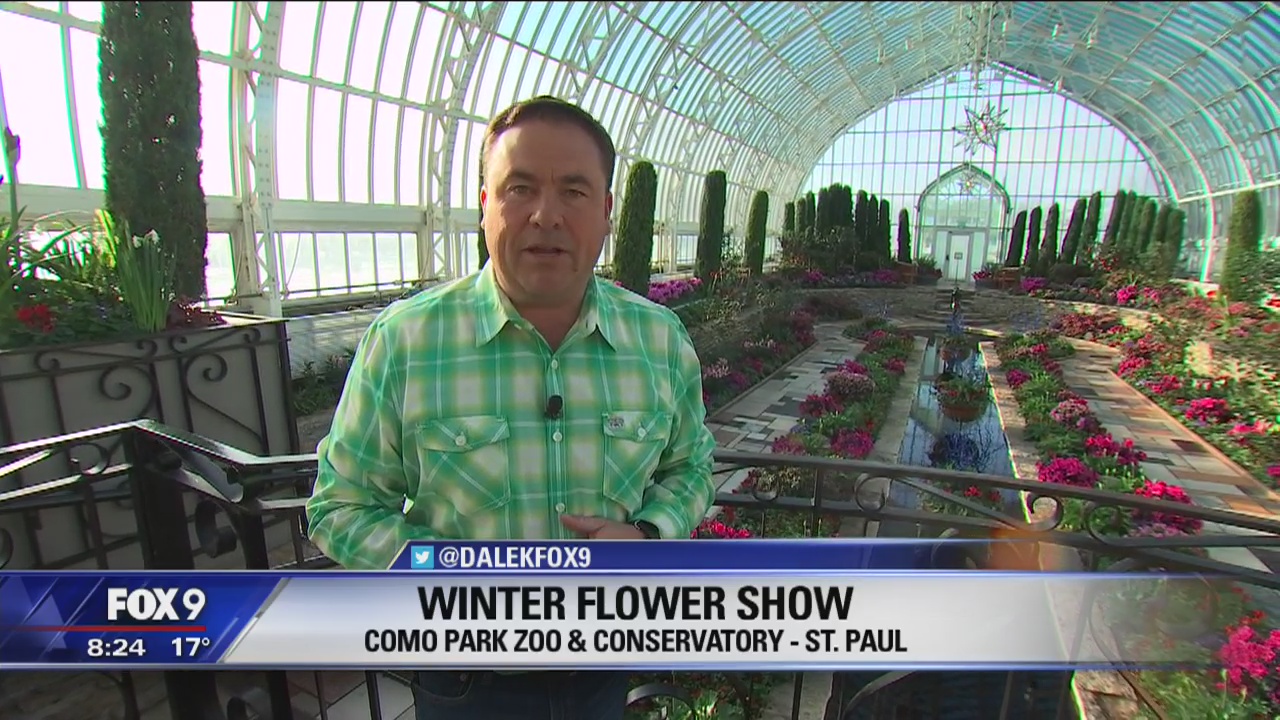 Dale K checks out the Winter Flower Show at Como Park & Conservatory