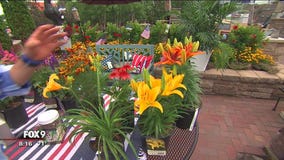Garden Guy Dale K's tips on adding color to July garden
