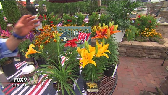 Garden Guy Dale K's tips on adding color to July garden