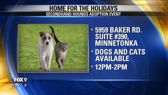 Secondhand Hounds hosts adoption event ahead of the holidays