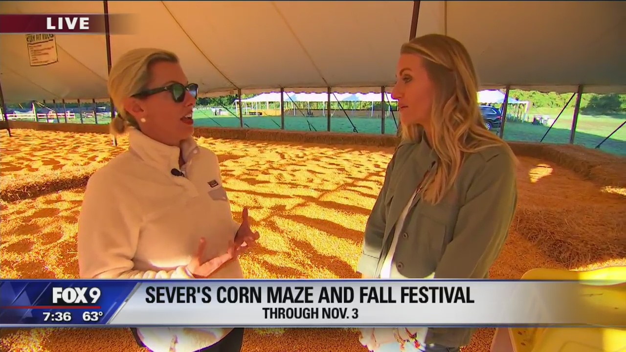 Sever's Fall Festival celebrates its 23rd season