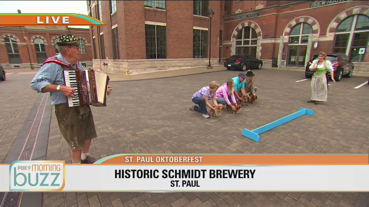 Celebrate Oktoberfest with Dachshund races at the Schmidt Brewery