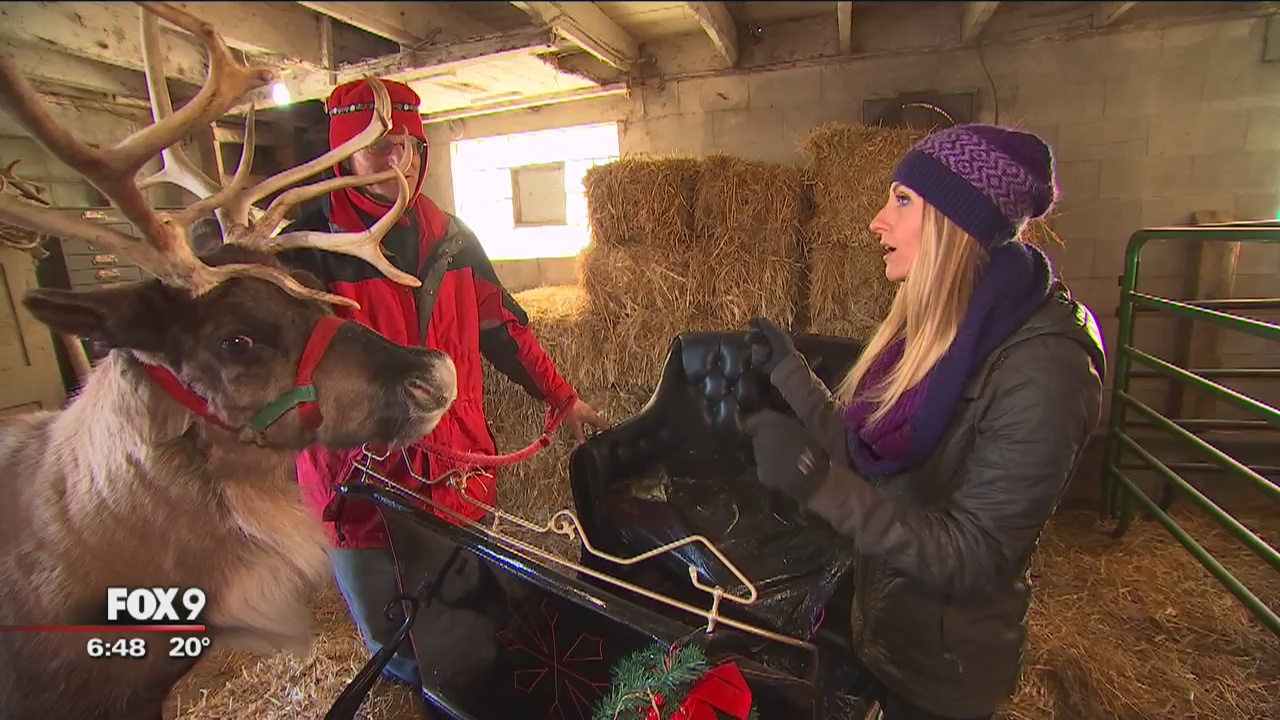 Reindeer farm keeps Glencoe family busy