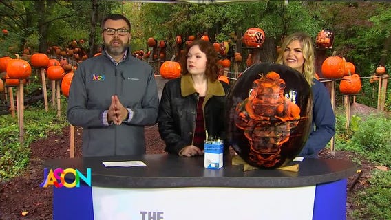 Meet a carver from the MN Zoo's Jack-O-Lantern Spectacular