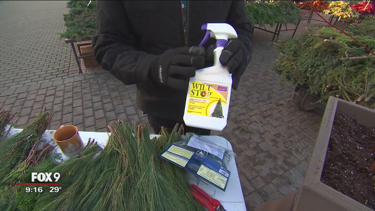 Dale K explores winter gardening containers